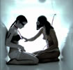 WHITE RABBIT